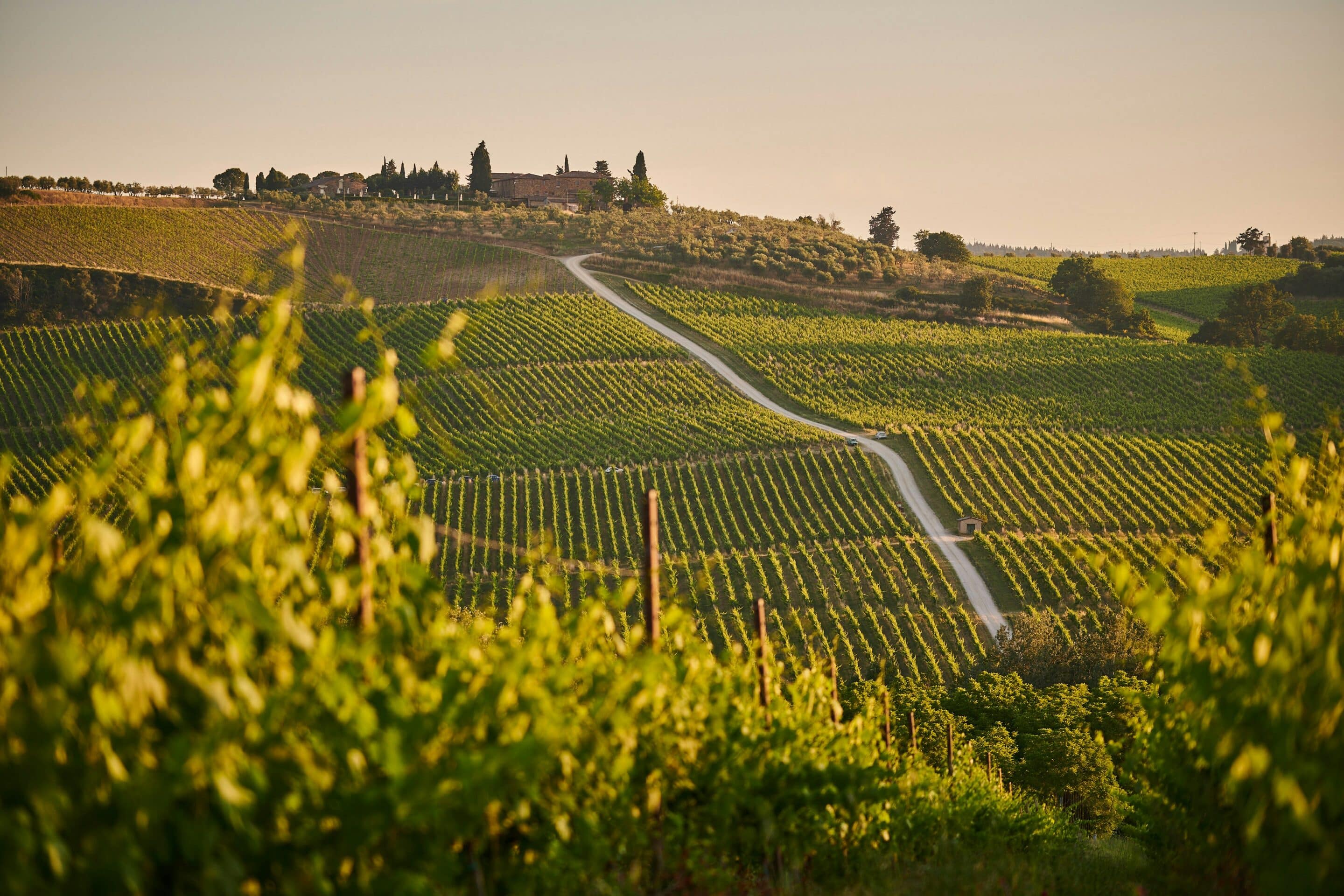 Vignobles bordelais : les investisseurs chinois les ont-ils vraiment négligés ?