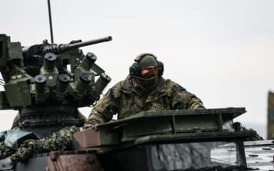 Le problème des armements polonais