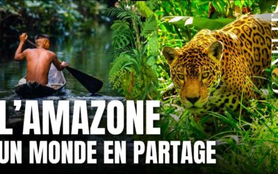 Podcast – Amazone : un fleuve stratégique. Hervé Théry