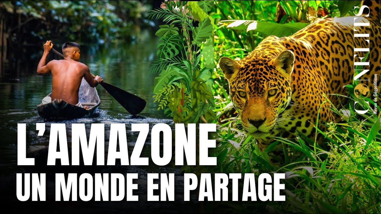 Podcast – Amazone : un fleuve stratégique. Hervé Théry