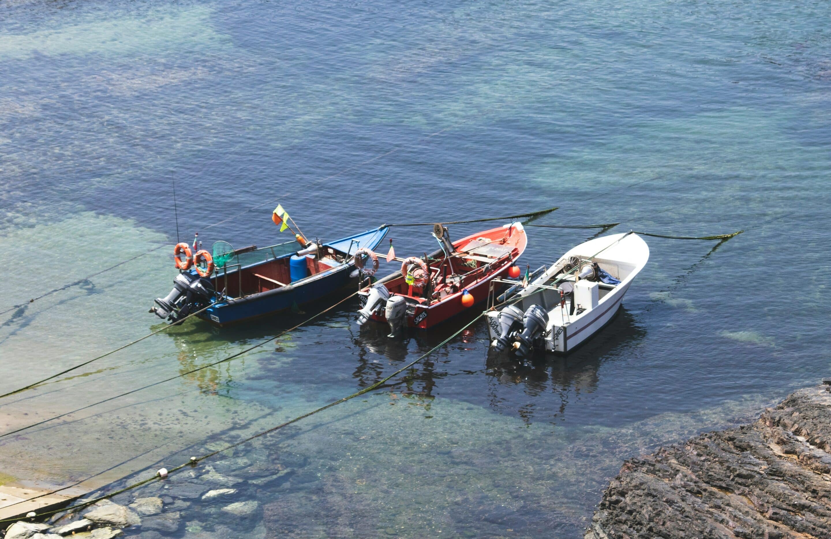 <i class='fa fa-lock' aria-hidden='true'></i> La pêche dans les TAAF : un patrimoine maritime stratégique
