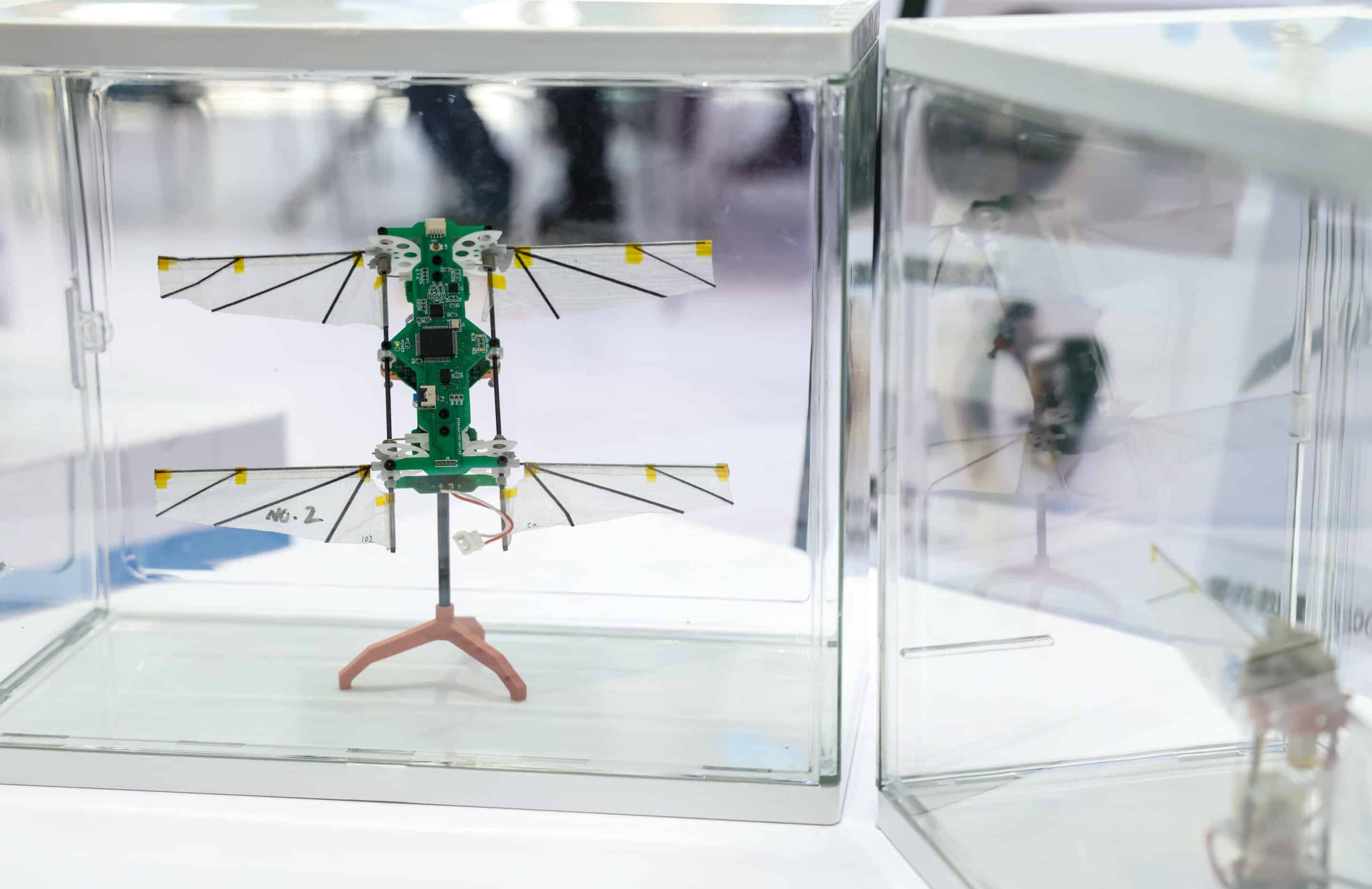 Micro-drones biomimétiques : l’extension du domaine de la guerre