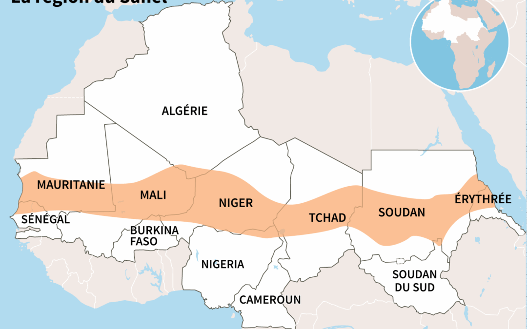 Panafricanisme : au-delà de la propagande, vers un objectif concret