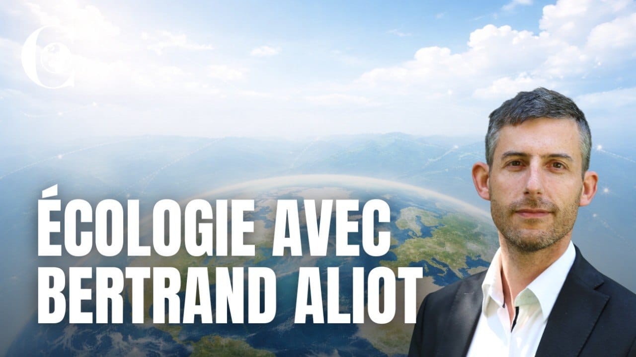 Vidéo – L’écologie détournée. Bertrand Alliot Vidéo – L’écologie détournée. Bertrand Alliot