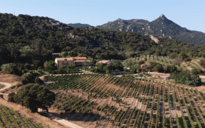Podcast – Reportage au domaine Saparale