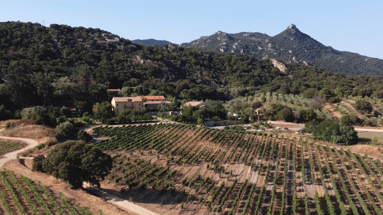 Podcast – Reportage au domaine Saparale Podcast – Reportage au domaine Saparale